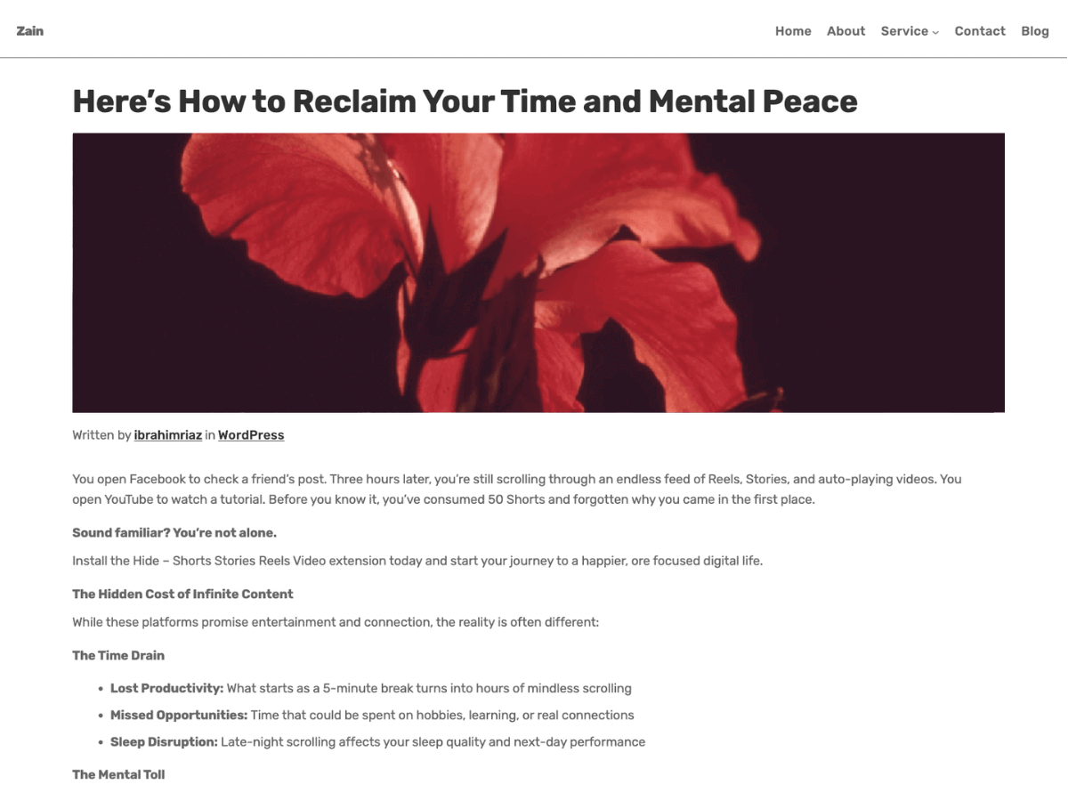 Zain WordPress block theme preview
